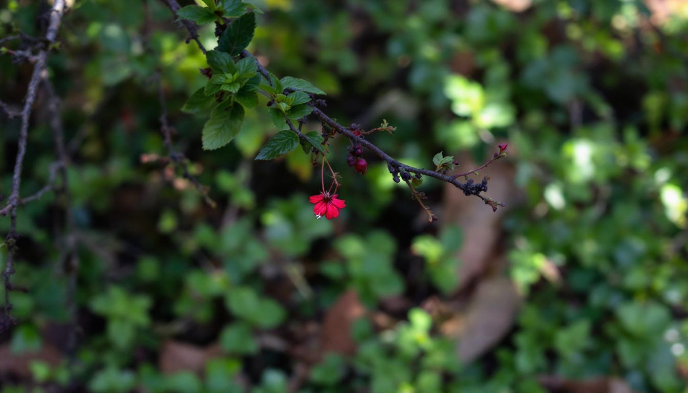 découvrez comment faire appel aux meilleurs plombiers à lille peut vous faire économiser sur vos réparations et éviter des coûts imprévus grâce à un travail de qualité.